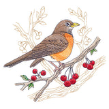 Radiant Robin Medley