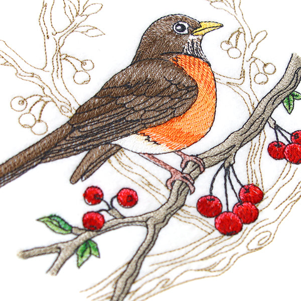 Radiant Robin Medley