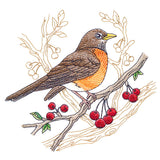 Radiant Robin Medley