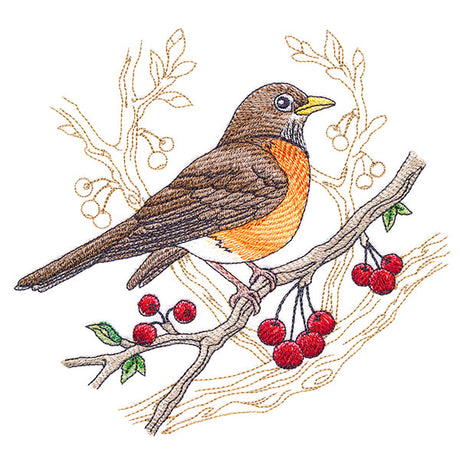 Radiant Robin Medley