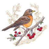 Radiant Robin Medley