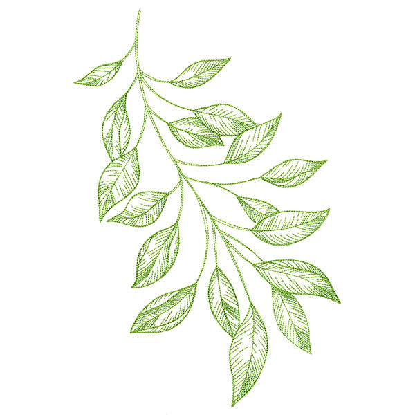 Branching Leaves Etching