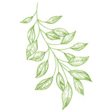 Branching Leaves Etching