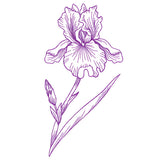Blossoming Iris Etching
