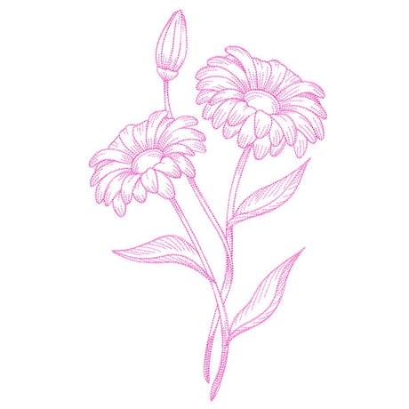 Budding Daisies Etching