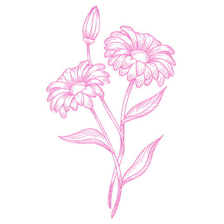Budding Daisies Etching