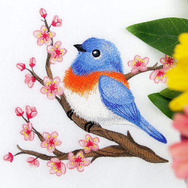 Charming Little Blue Bird