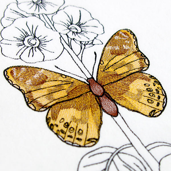 Fresh Hollyhock and Painted Lady