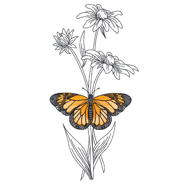 Beautiful Black-Eyed Susan and Monarch