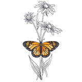 Beautiful Black-Eyed Susan and Monarch