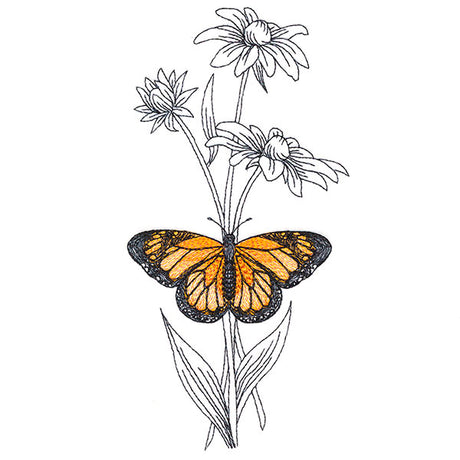 Beautiful Black-Eyed Susan and Monarch