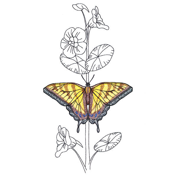 Simple Nasturtium and Tiger Swallowtail