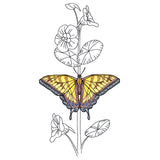 Simple Nasturtium and Tiger Swallowtail