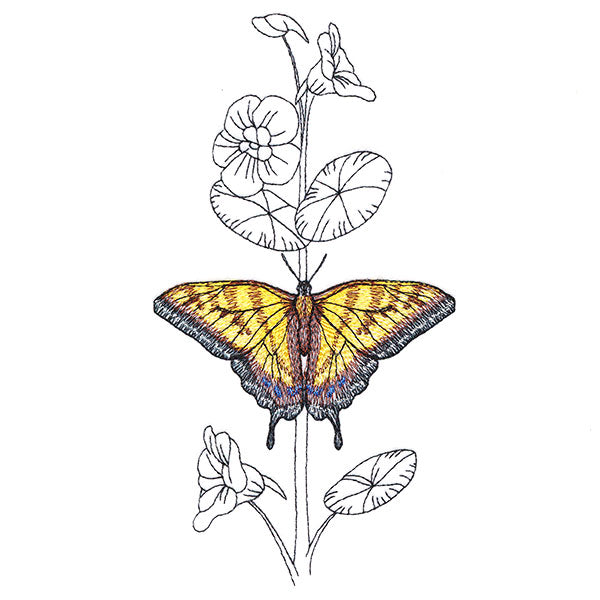 Simple Nasturtium and Tiger Swallowtail