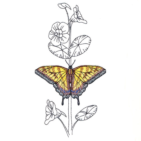 Simple Nasturtium and Tiger Swallowtail