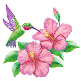Calming Hummingbird and Hibiscus