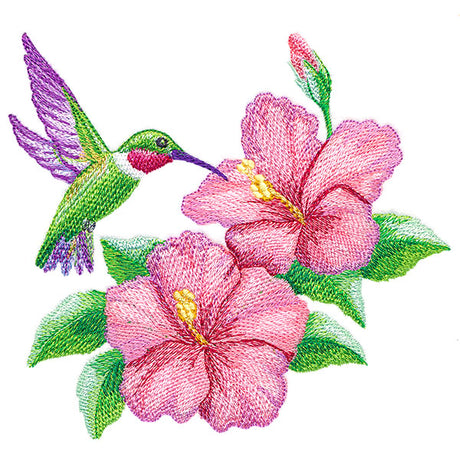 Calming Hummingbird and Hibiscus