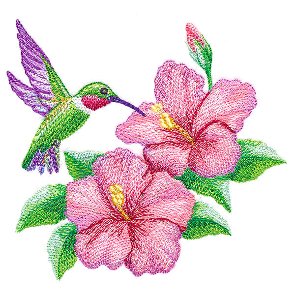 Calming Hummingbird and Hibiscus