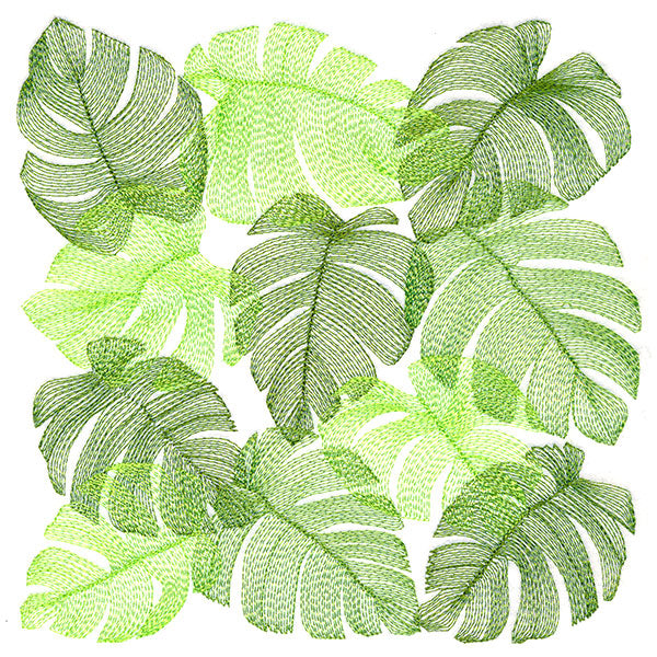 Tropical Monstera Square
