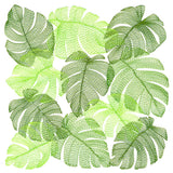 Tropical Monstera Square