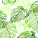 Tropical Monstera Square