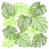 Tropical Monstera Square