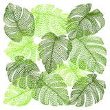 Tropical Monstera Square