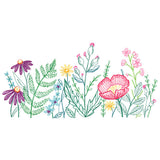 A Field of Dainty Blooms Border