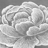 Elegance in Bloom Peony