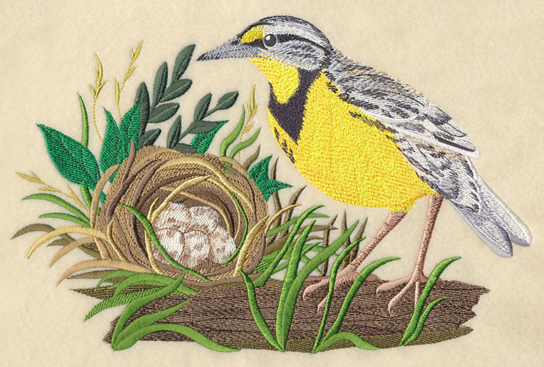 Eastern Meadowlark and Nest
