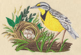 Eastern Meadowlark and Nest