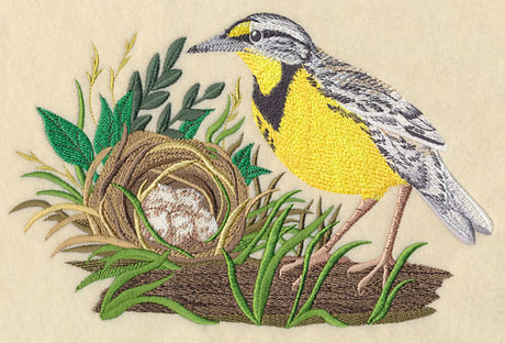 Eastern Meadowlark and Nest