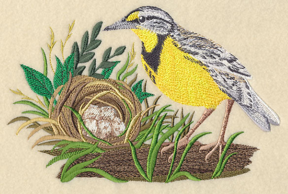Eastern Meadowlark and Nest