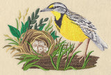 Eastern Meadowlark and Nest