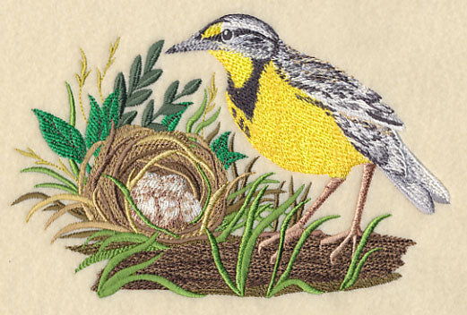 Eastern Meadowlark and Nest