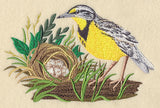 Eastern Meadowlark and Nest