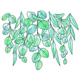 Fresh Draping Eucalyptus