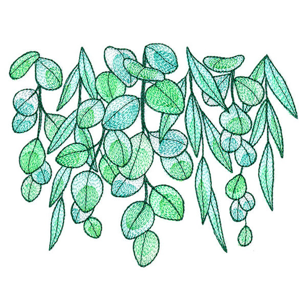 Fresh Draping Eucalyptus