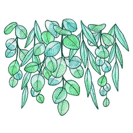 Fresh Draping Eucalyptus