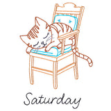 Cottage Kitty on Saturday (Vintage)