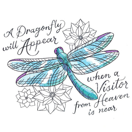 A Visitor From Heaven Dragonfly