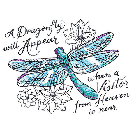 A Visitor From Heaven Dragonfly