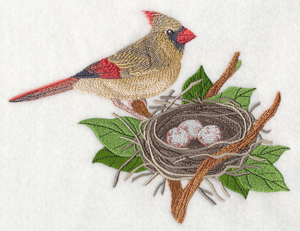 Cardinal and Nest