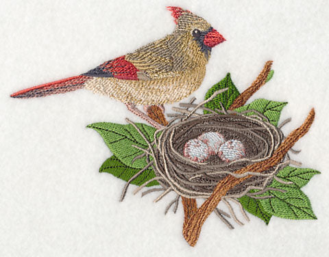 Cardinal and Nest