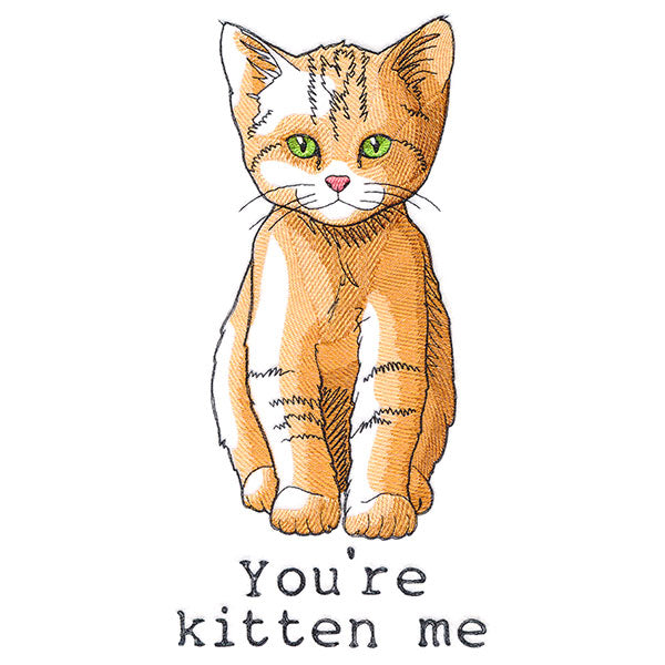 You're Kitten Me