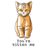 You're Kitten Me