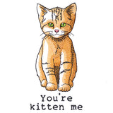 You're Kitten Me