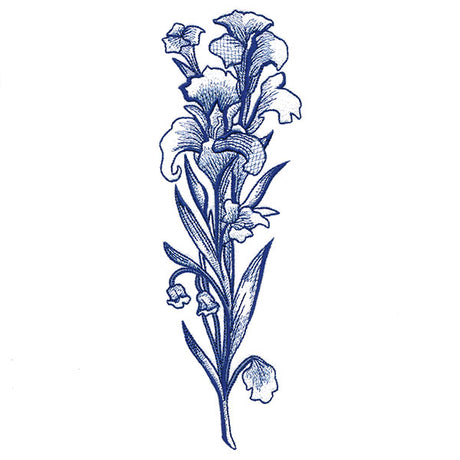 Wild and Blooming Iris