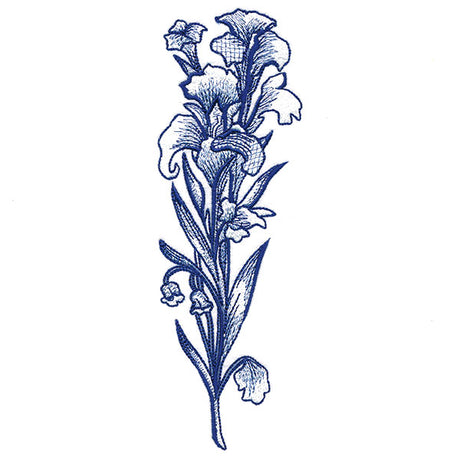 Wild and Blooming Iris