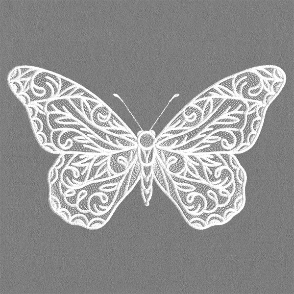 Exquisite Blooming Butterfly